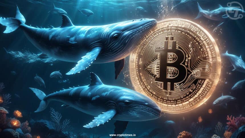 Is a Bitcoin Sell-Off Coming After a $3.6M Whale Transfer?