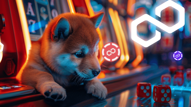 DOGE Price Prediction- New Altcoin Gains as Holders Flee