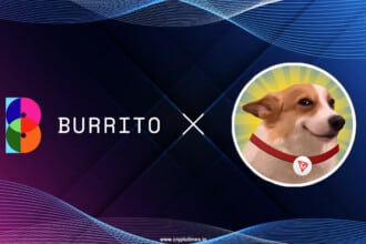 SUNDOG Partners with Burrito Wallet to Expand Korean Presence