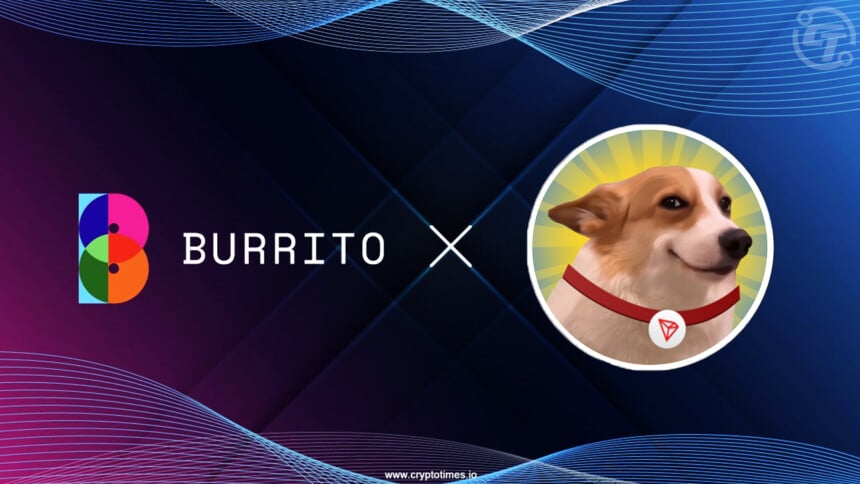 SUNDOG Partners with Burrito Wallet to Expand Korean Presence