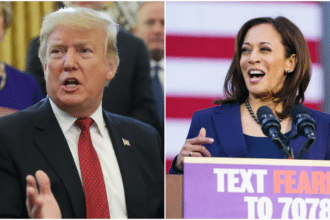 Trump Leads Harris by 12% Post-Rally with Elon Musk