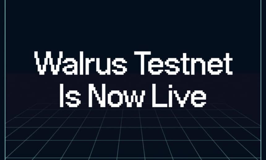 Walrus Testnet 1729144851krjDdejpZE