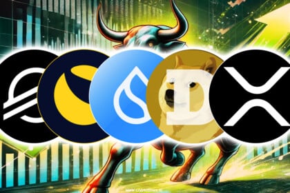 5 Biggest Gainer Altcoins in November Bull Run