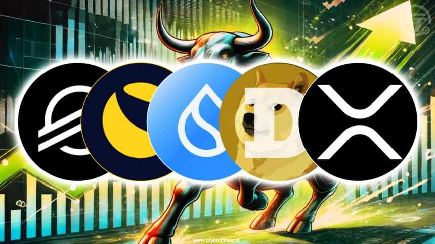 5 Biggest Gainer Altcoins in November Bull Run