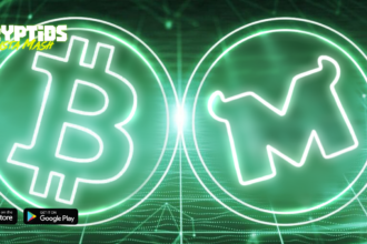 Bitcoin, Ethereum vs. Monsta Mash Presale: Top Utility & Stability