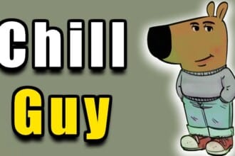 Chill Guy Meme: From Viral Trend to Crypto Controversy