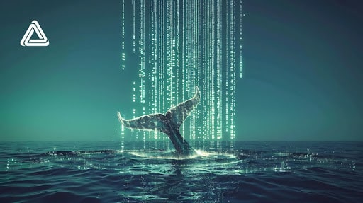 Crypto Whales Pour Funds Into ETFSwap (ETFS) Before Listing