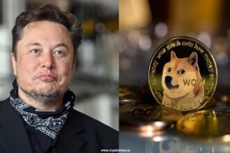 Dogecoin Investors Drop Lawsuit Against Elon Musk