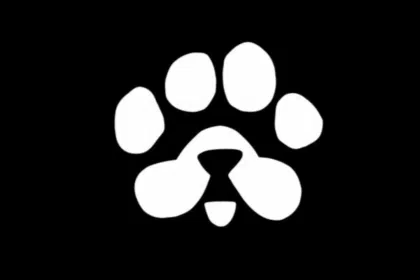 New Telegram Game $PAWS Sees 20 Million Users Upon Launch