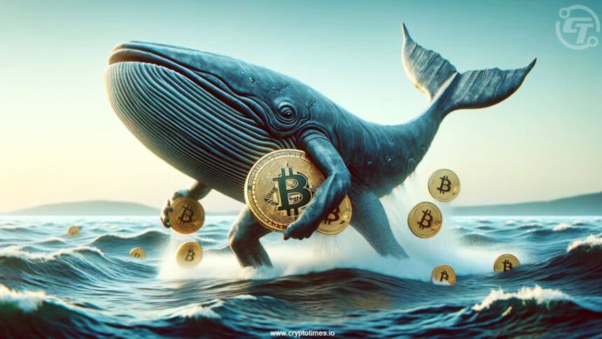 OG Bitcoin Whale Moves 2,000 BTC Worth $178M to Coinbase