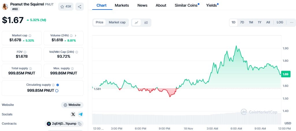 Peanut The Squirrel (PNUT) Price Soars Near  After Viral Surge