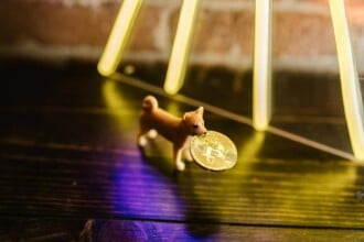 Shiba Inu Eyes $100B Cap, Low-Cap Meme Coins Set for Growth