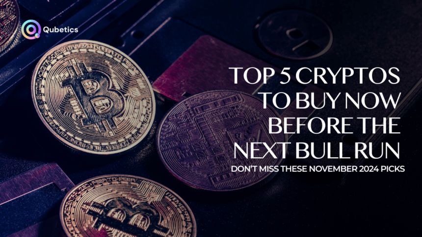 Which Cryptos to Invest in November 2024? Here’s the Best List!