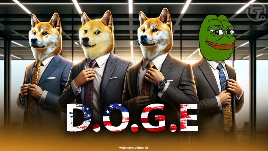 Project D.O.G.E