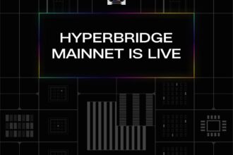 hyperbridge announce 1730930240H1jv1uj2p7