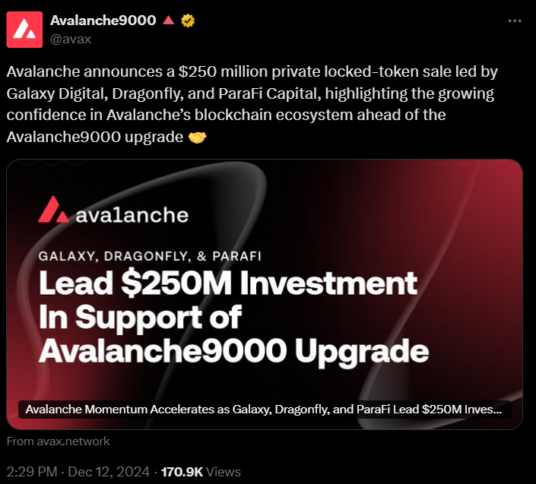 Avalanche $250 million private token sale announcement