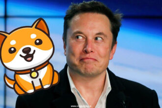 Baby Doge Coin Surges 49%, is Elon Musk behind it?