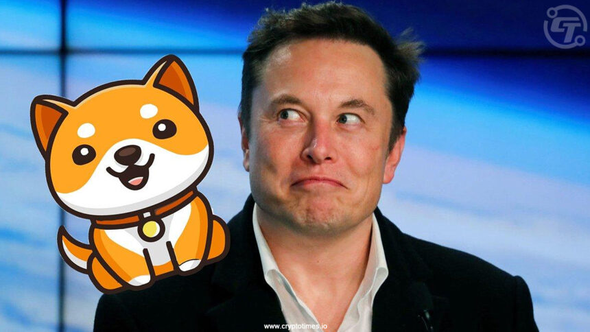 Baby Doge Coin Surges 49%, is Elon Musk behind it?