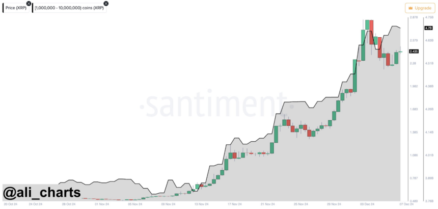 Ripple Whales покупает 120 млн XRP во время недавнего отката рынка