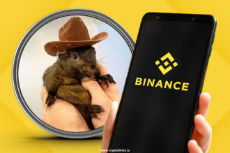 Peanut the Squirrel’s Owner Sues Binance Over IP Rights