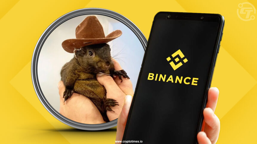 Peanut the Squirrel’s Owner Sues Binance Over IP Rights