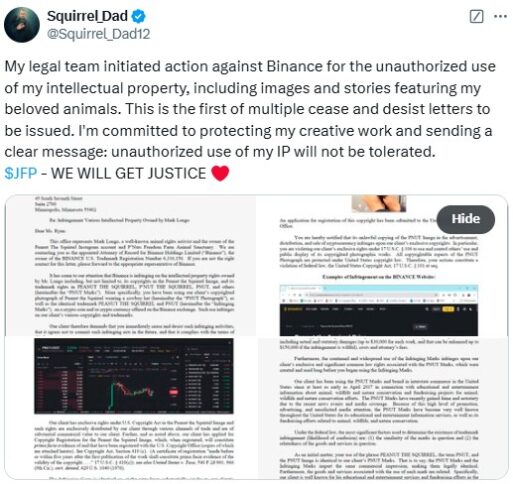 Peanut the Squirrel's  Owner Sues Binance for Copyright Violation